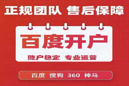谷歌SEM广告投放的ROI优化：一家科技公司的成功经验